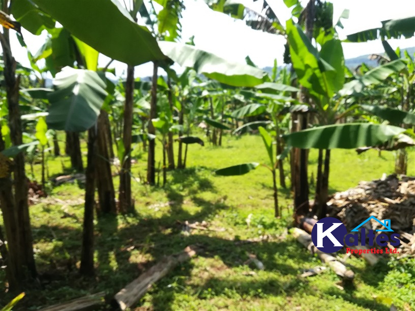 Agricultural Land for sale in Bugabe Buyikwe