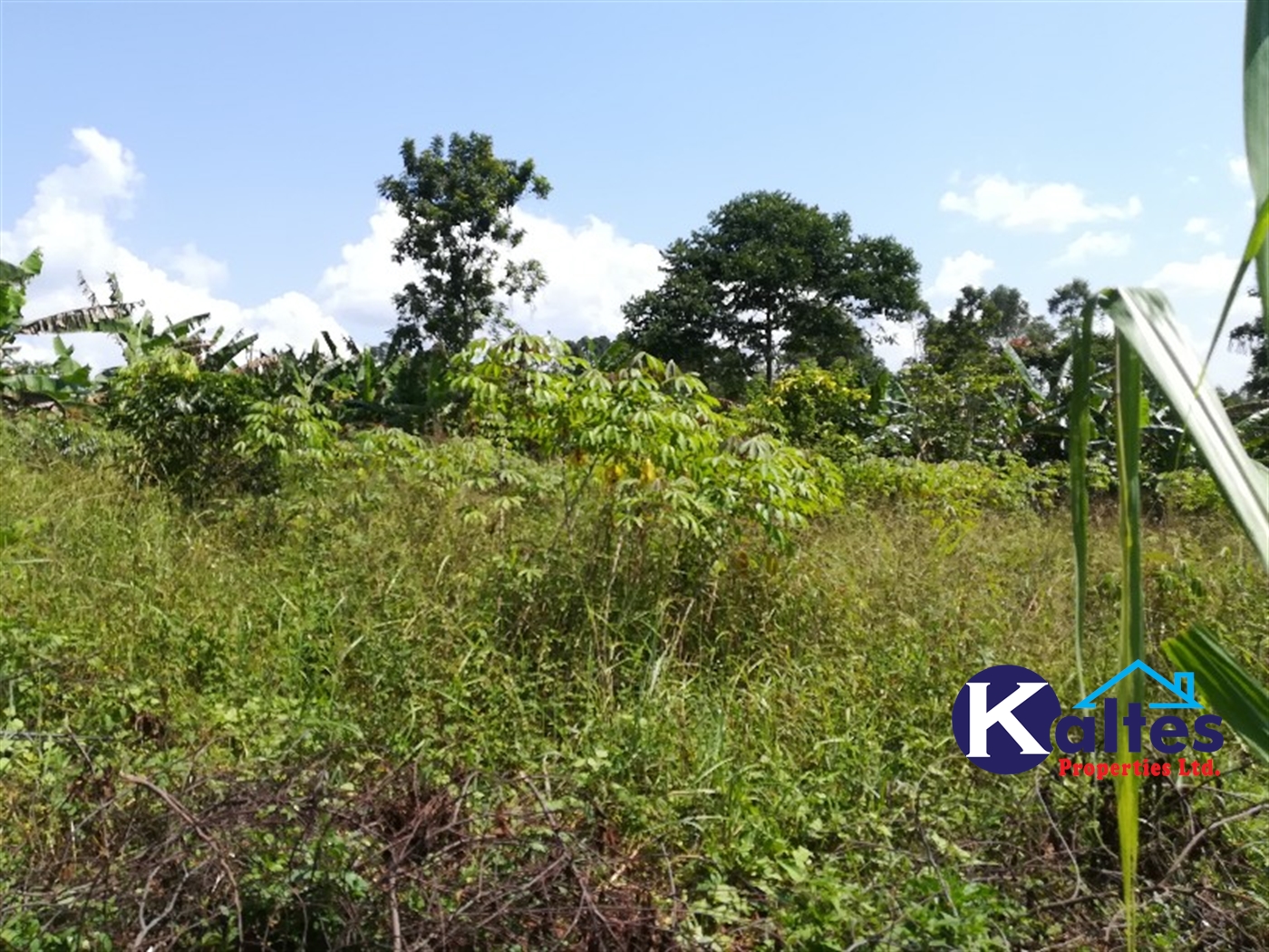 Residential Land for sale in Bugule Buyikwe