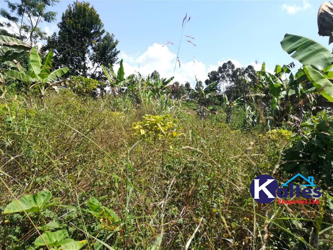 Agricultural Land for sale in Bukubizi Buyikwe