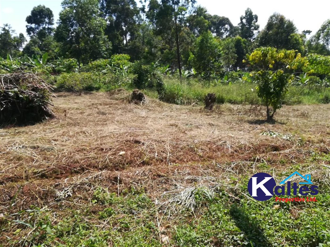 Agricultural Land for sale in Bukuja Buyikwe