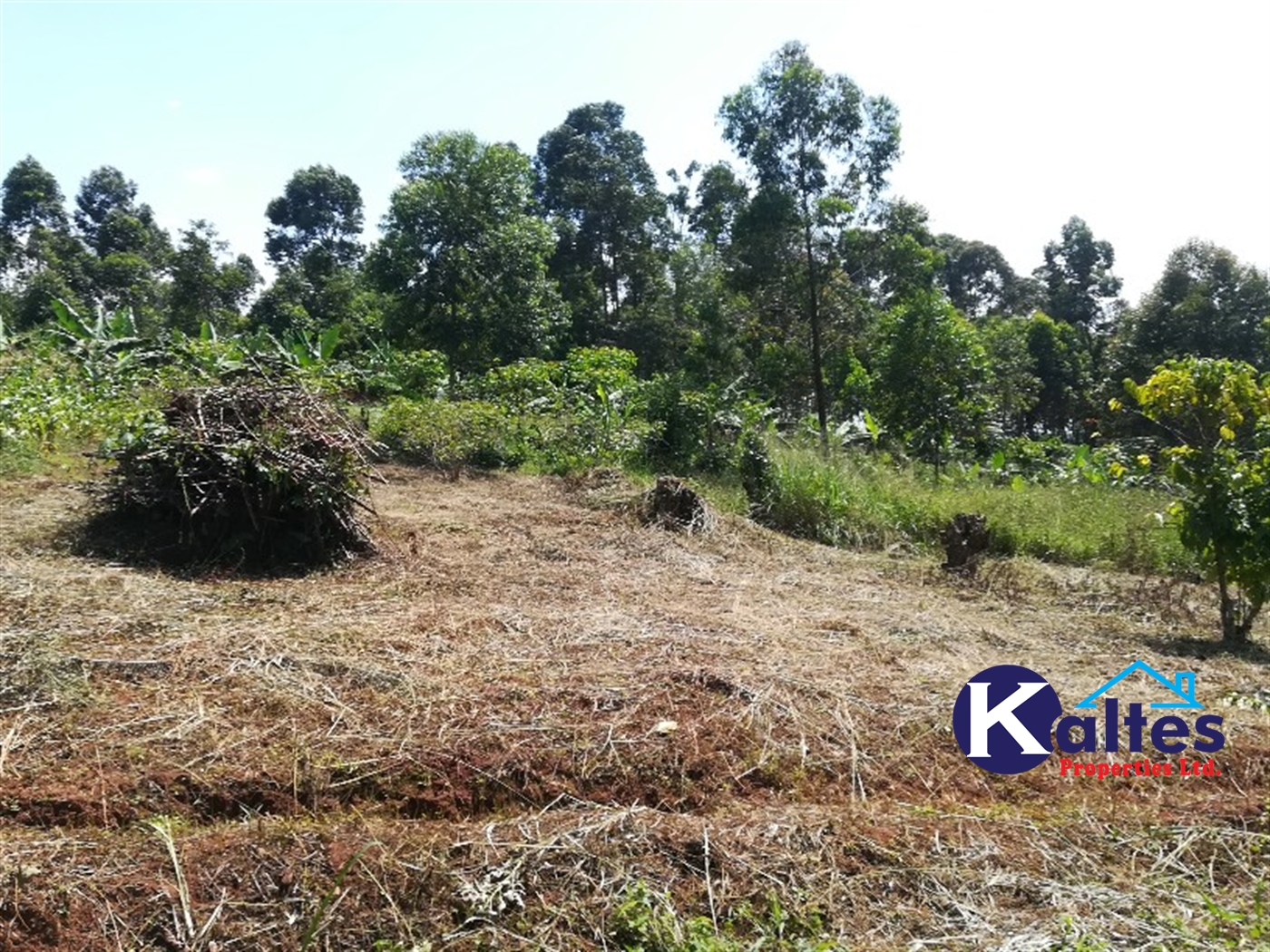 Agricultural Land for sale in Bukuja Buyikwe