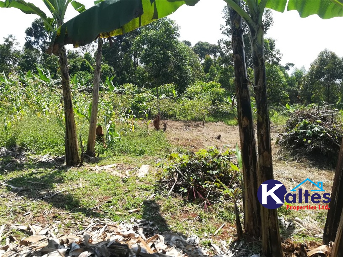 Agricultural Land for sale in Bukuja Buyikwe