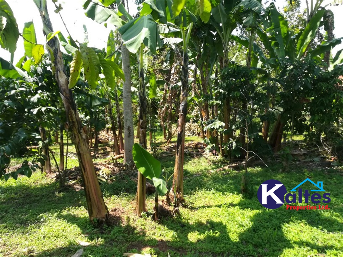 Agricultural Land for sale in Bukuja Buyikwe