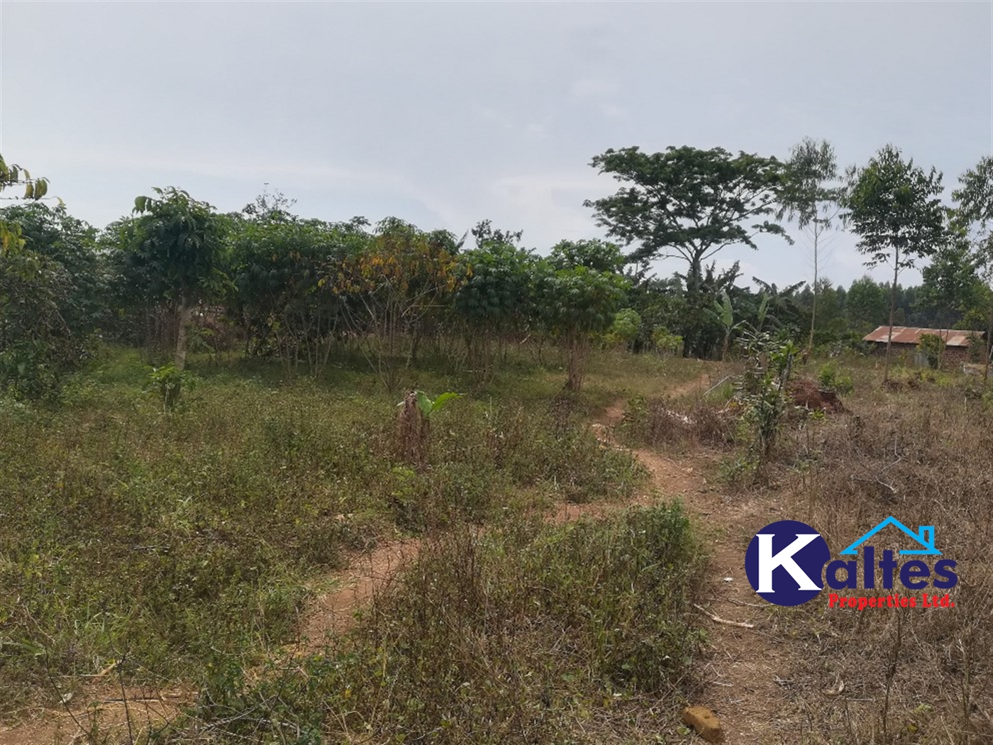 Agricultural Land for sale in Bulamaji Buyikwe