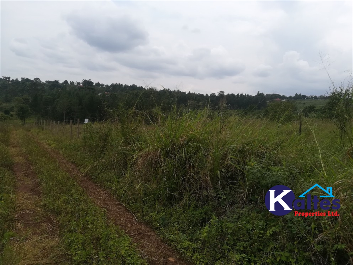 Agricultural Land for sale in Bulamaji Buyikwe