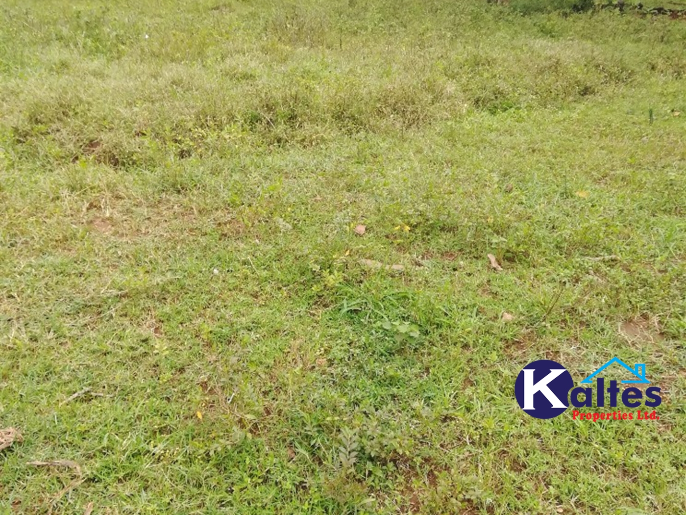 Agricultural Land for sale in Bulamba Buyikwe