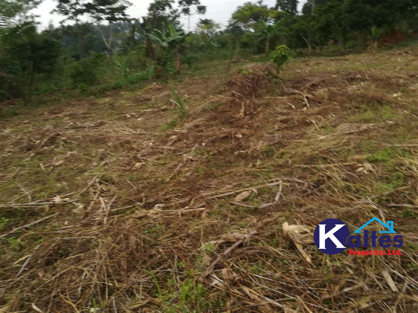 Agricultural Land for sale in Bulamba Buyikwe