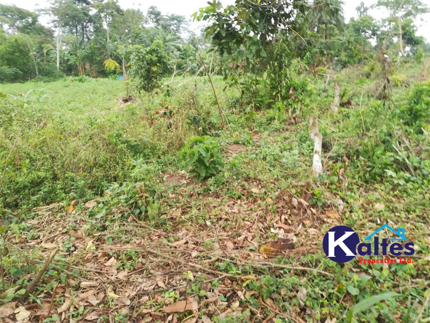 Agricultural Land for sale in Nsenya Buyikwe