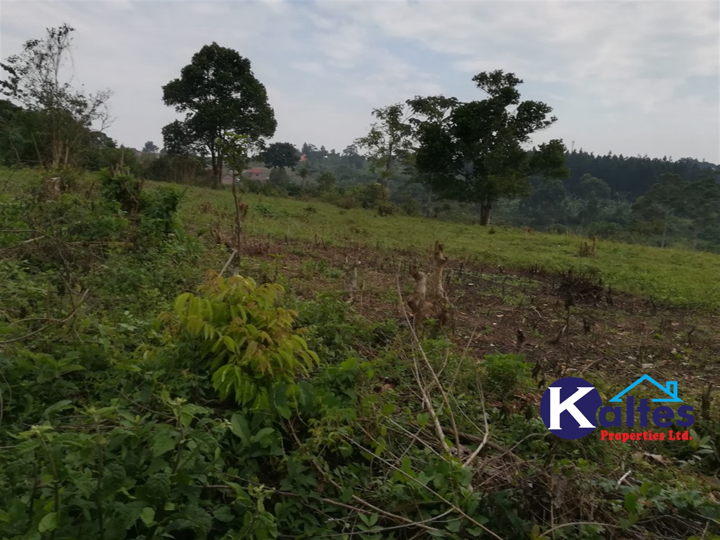 Residential Land for sale in Nsenya Buyikwe