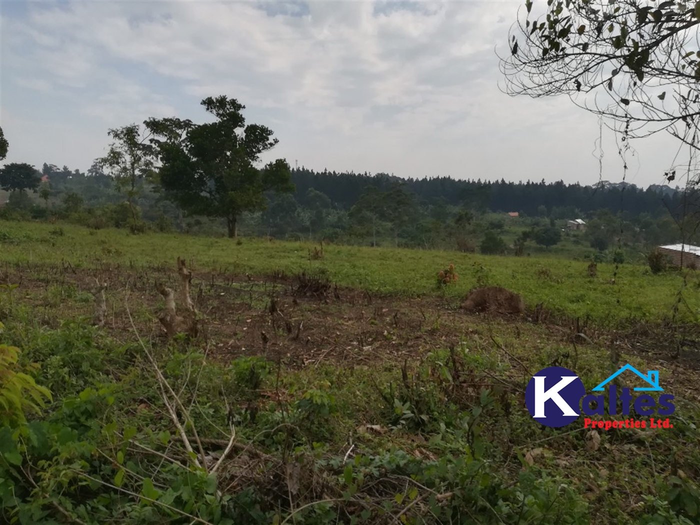 Residential Land for sale in Nsenya Buyikwe