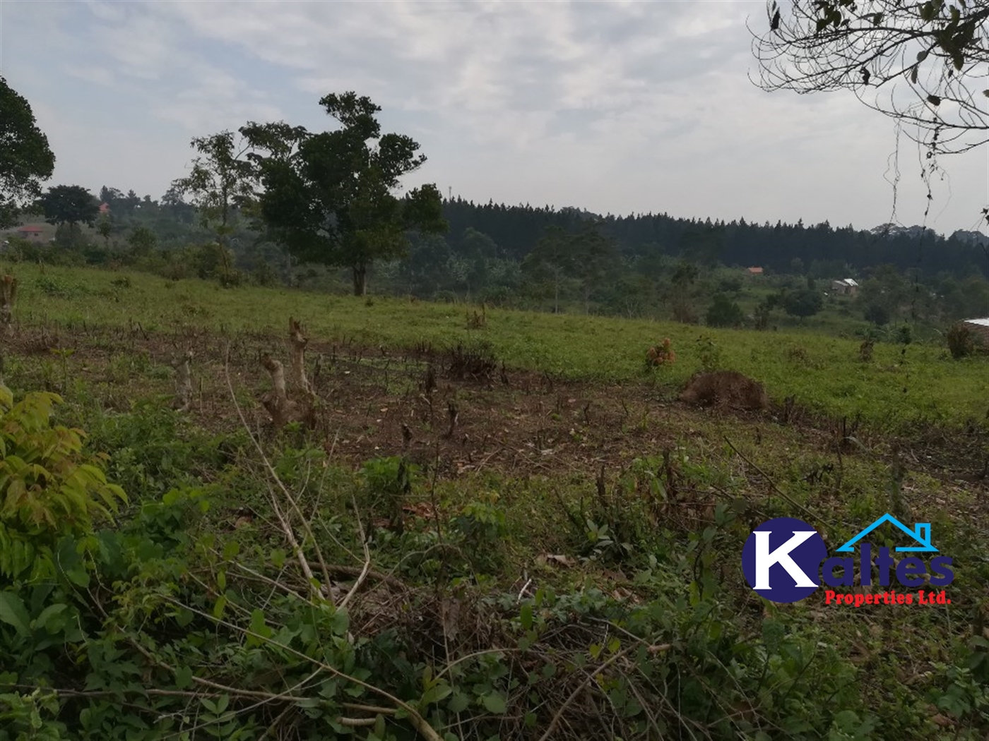 Residential Land for sale in Nsenya Buyikwe