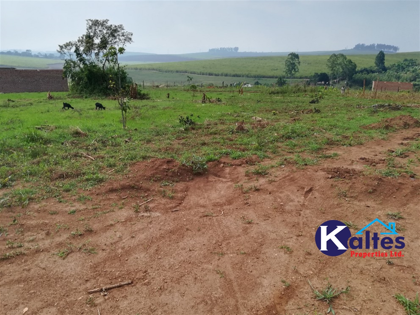 Agricultural Land for sale in Nyenga Buyikwe