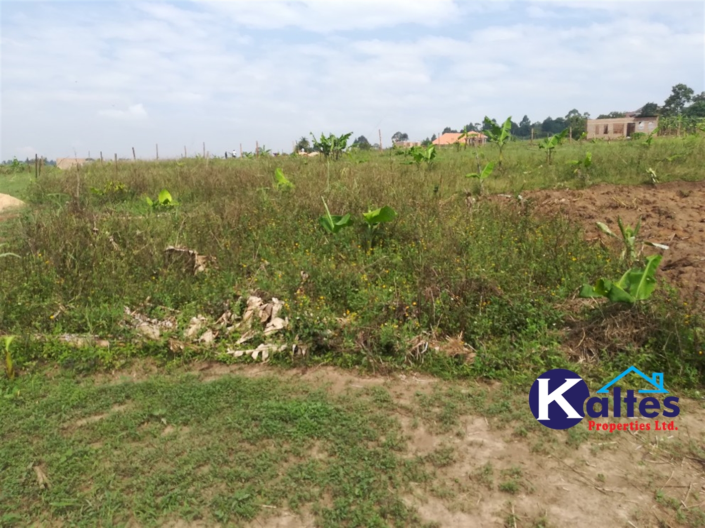 Agricultural Land for sale in Nyenga Buyikwe