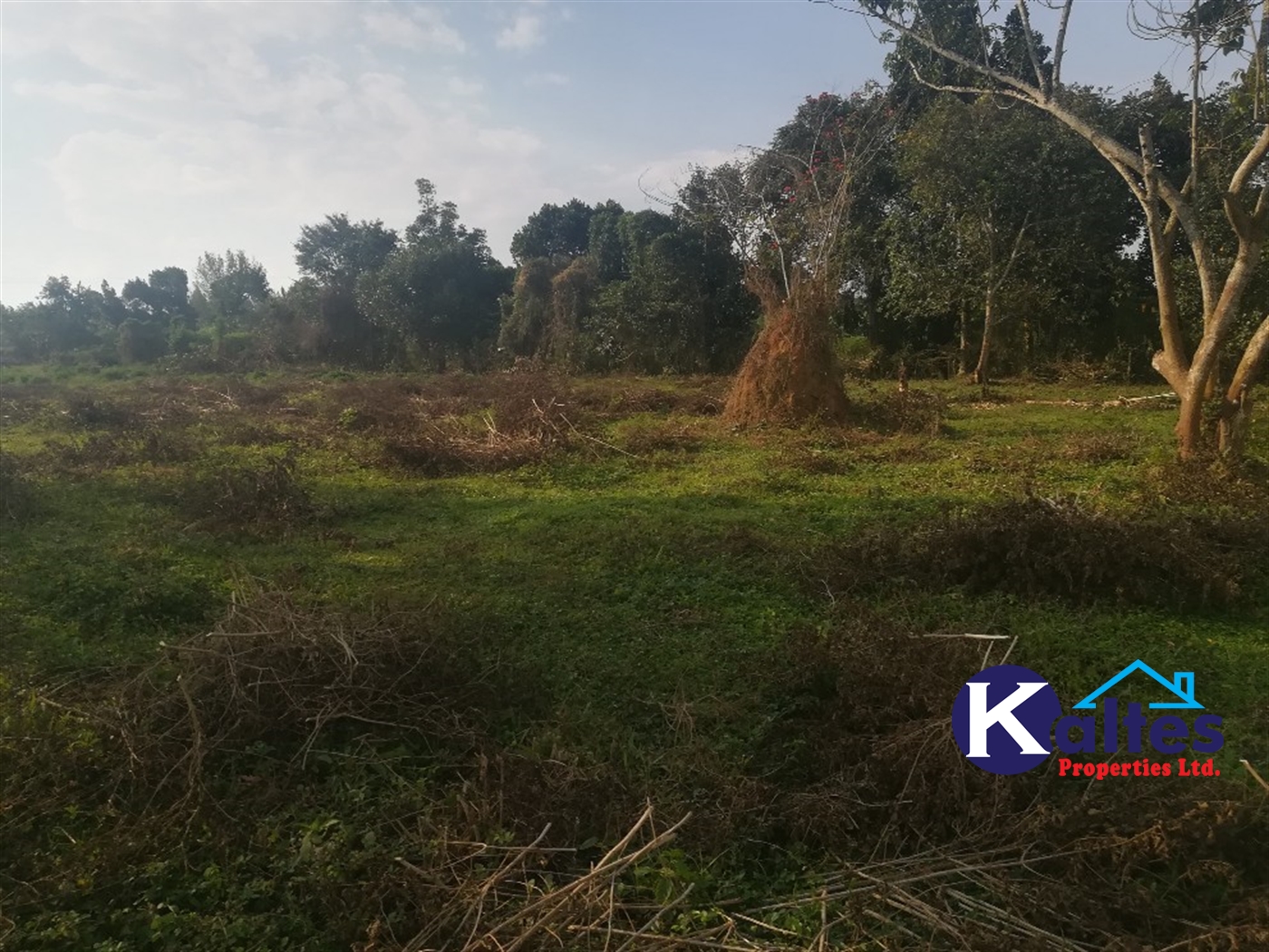 Agricultural Land for sale in Senyi Buyikwe