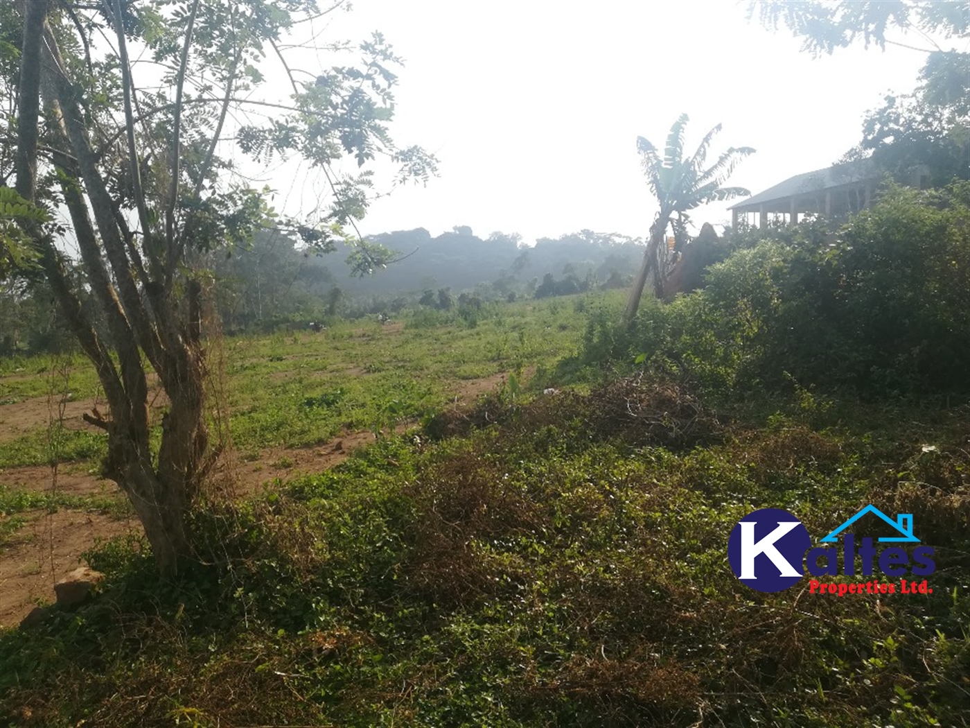 Agricultural Land for sale in Senyi Buyikwe