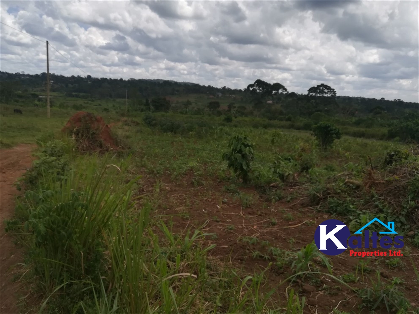 Agricultural Land for sale in Senyi Buyikwe