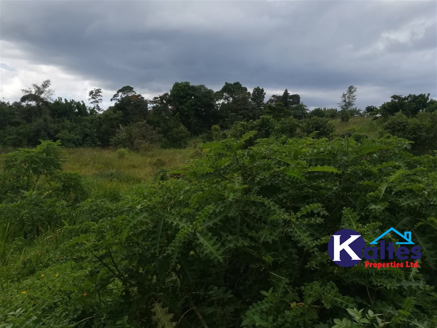 Agricultural Land for sale in Tebalowoza Buyikwe