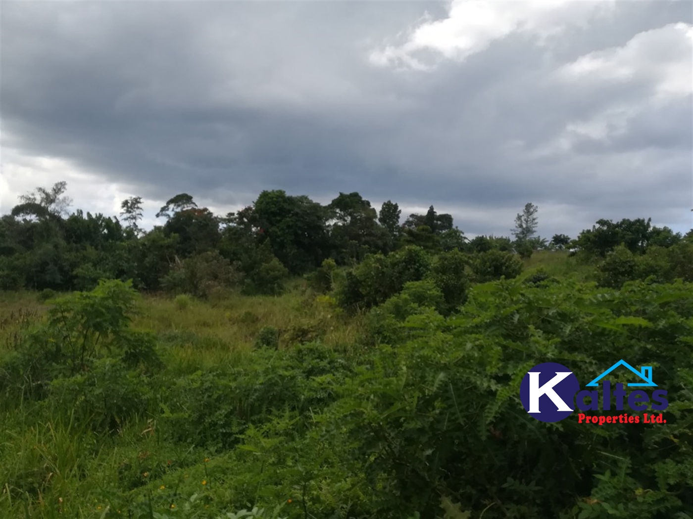 Agricultural Land for sale in Tebalowoza Buyikwe
