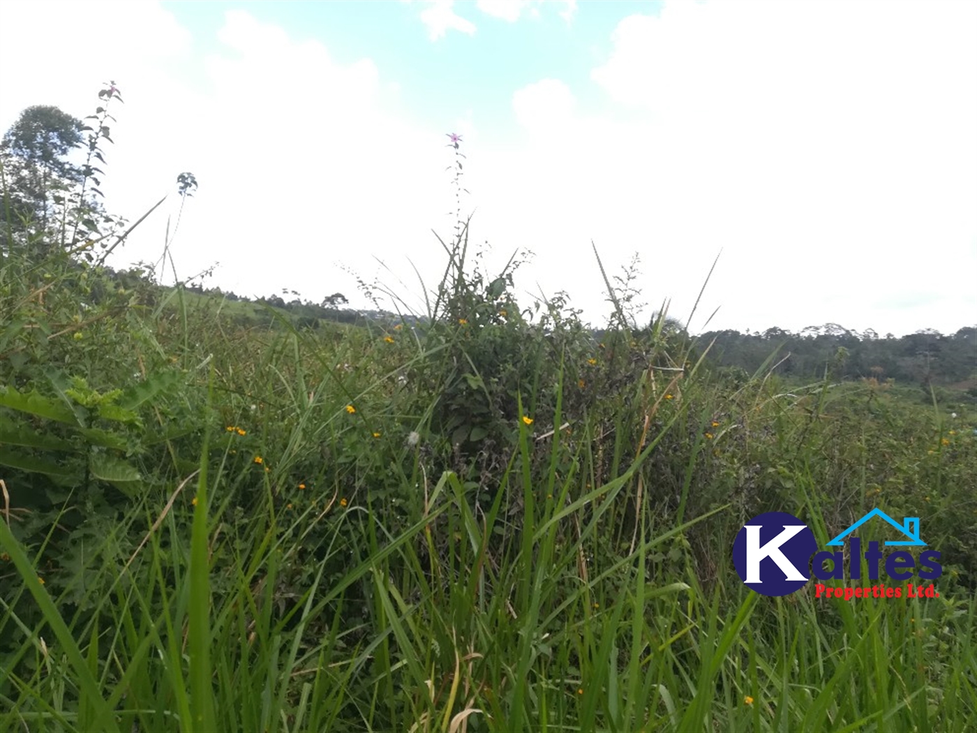 Agricultural Land for sale in Tebalowoza Buyikwe