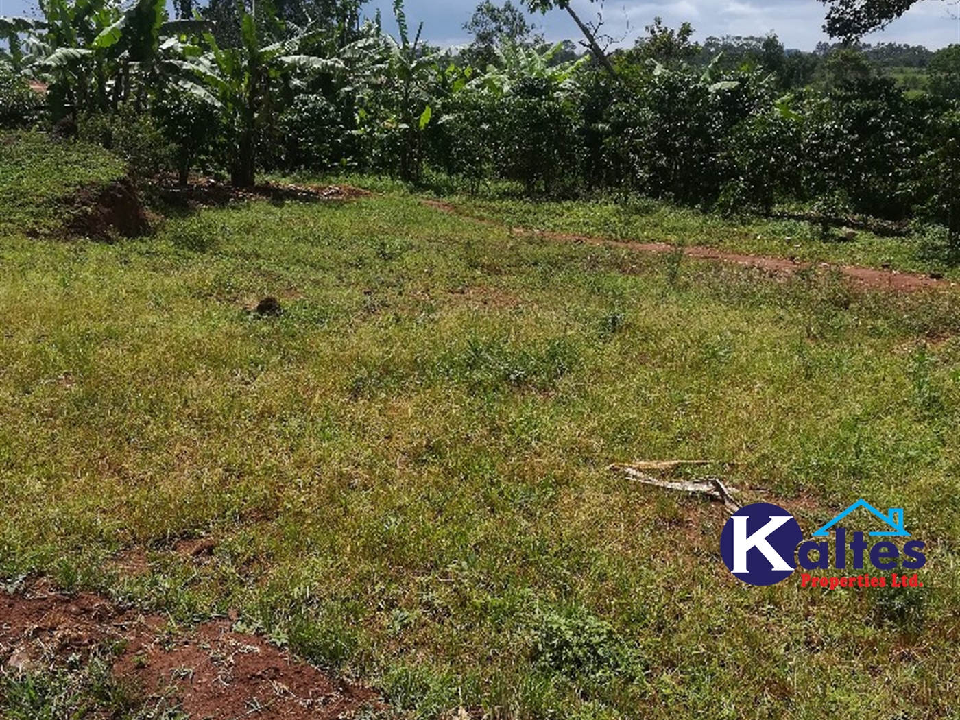 Agricultural Land for sale in Tebalowoza Buyikwe