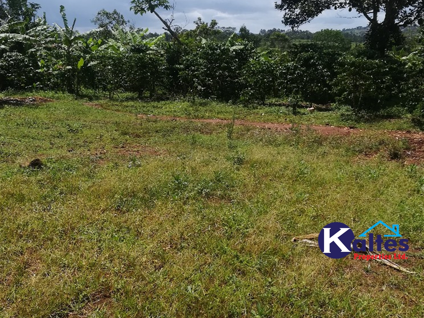 Agricultural Land for sale in Tebalowoza Buyikwe