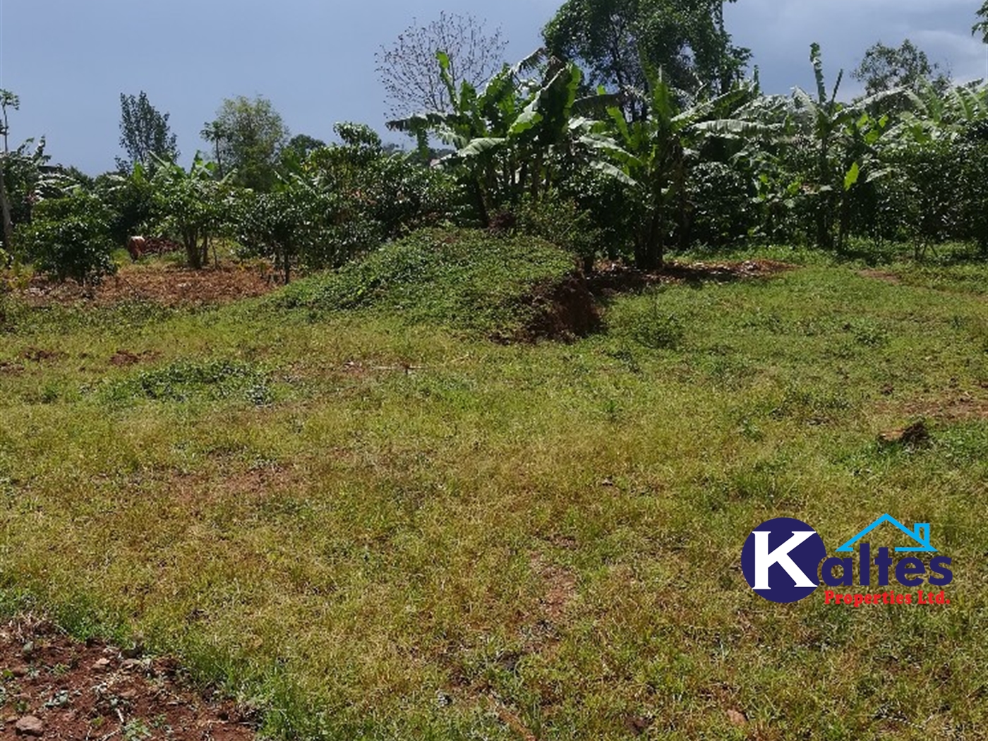 Agricultural Land for sale in Tebalowoza Buyikwe