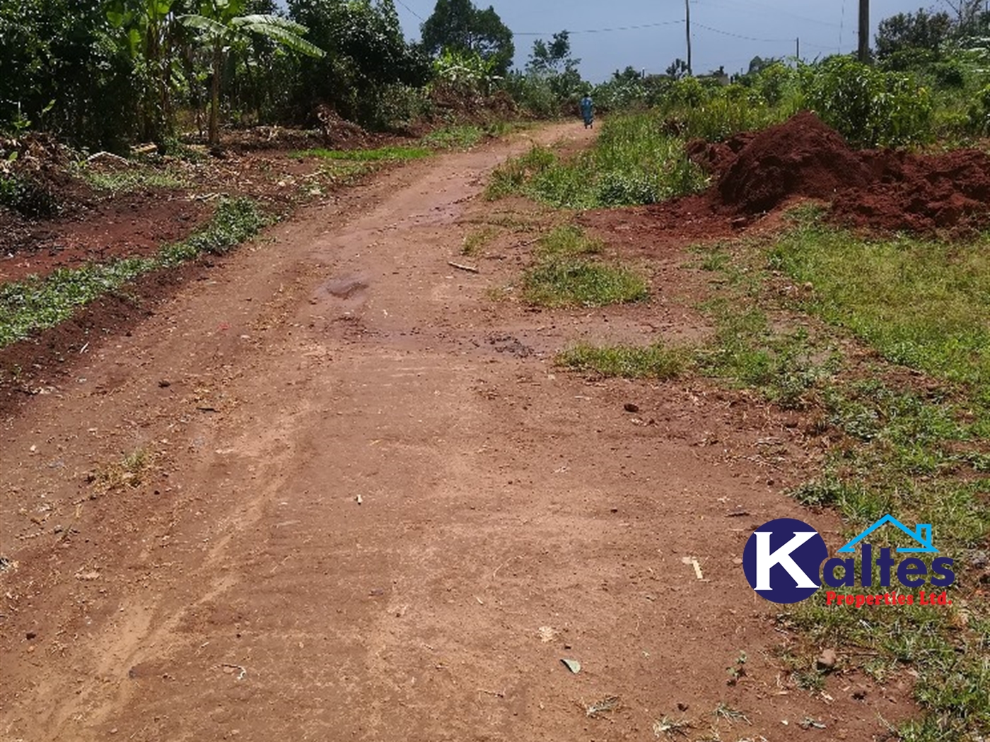 Agricultural Land for sale in Tebalowoza Buyikwe