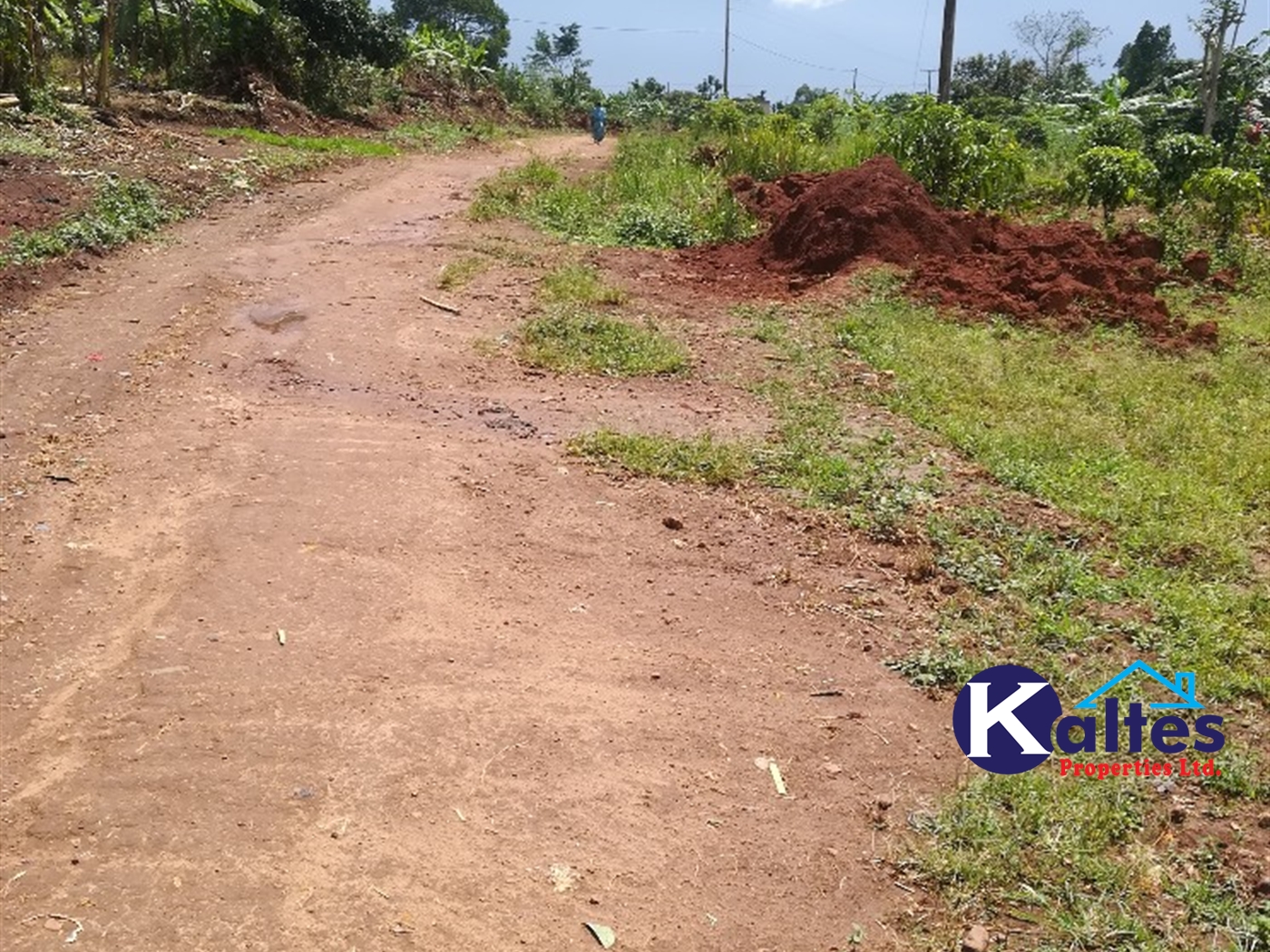 Agricultural Land for sale in Tebalowoza Buyikwe