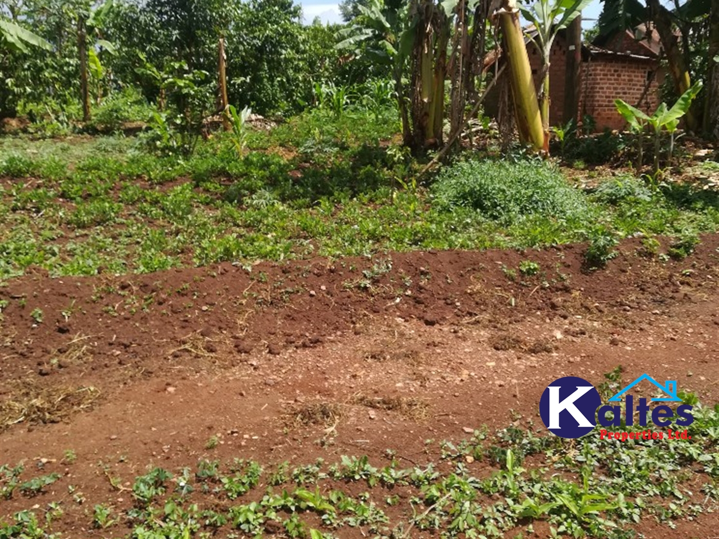 Agricultural Land for sale in Tebalowoza Buyikwe