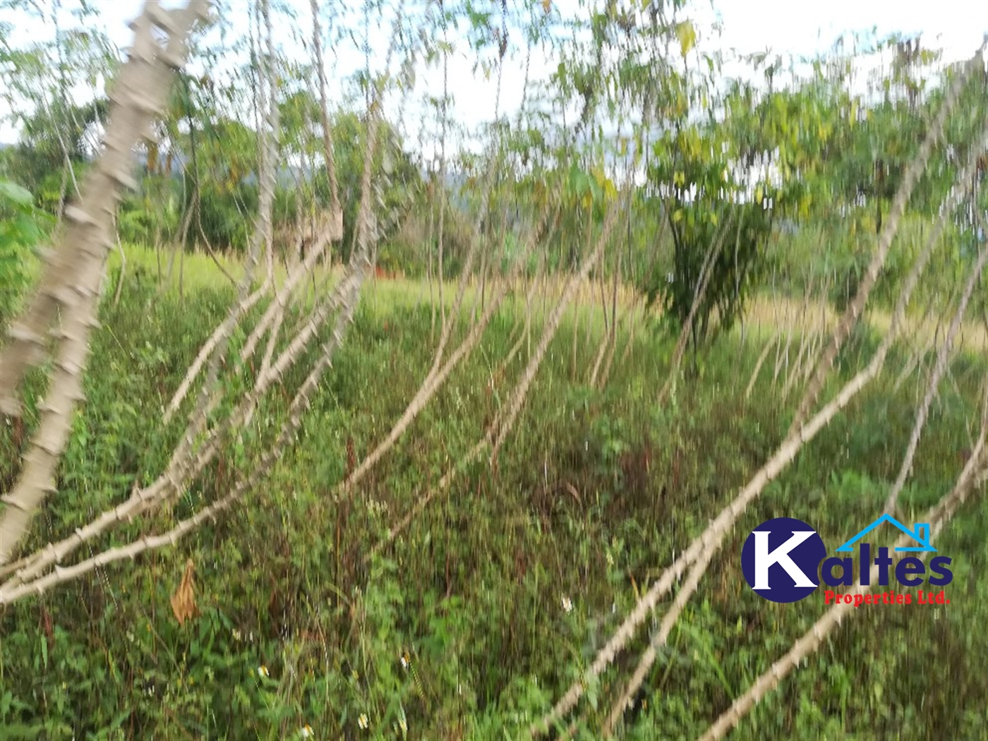 Agricultural Land for sale in Vvumba Buyikwe