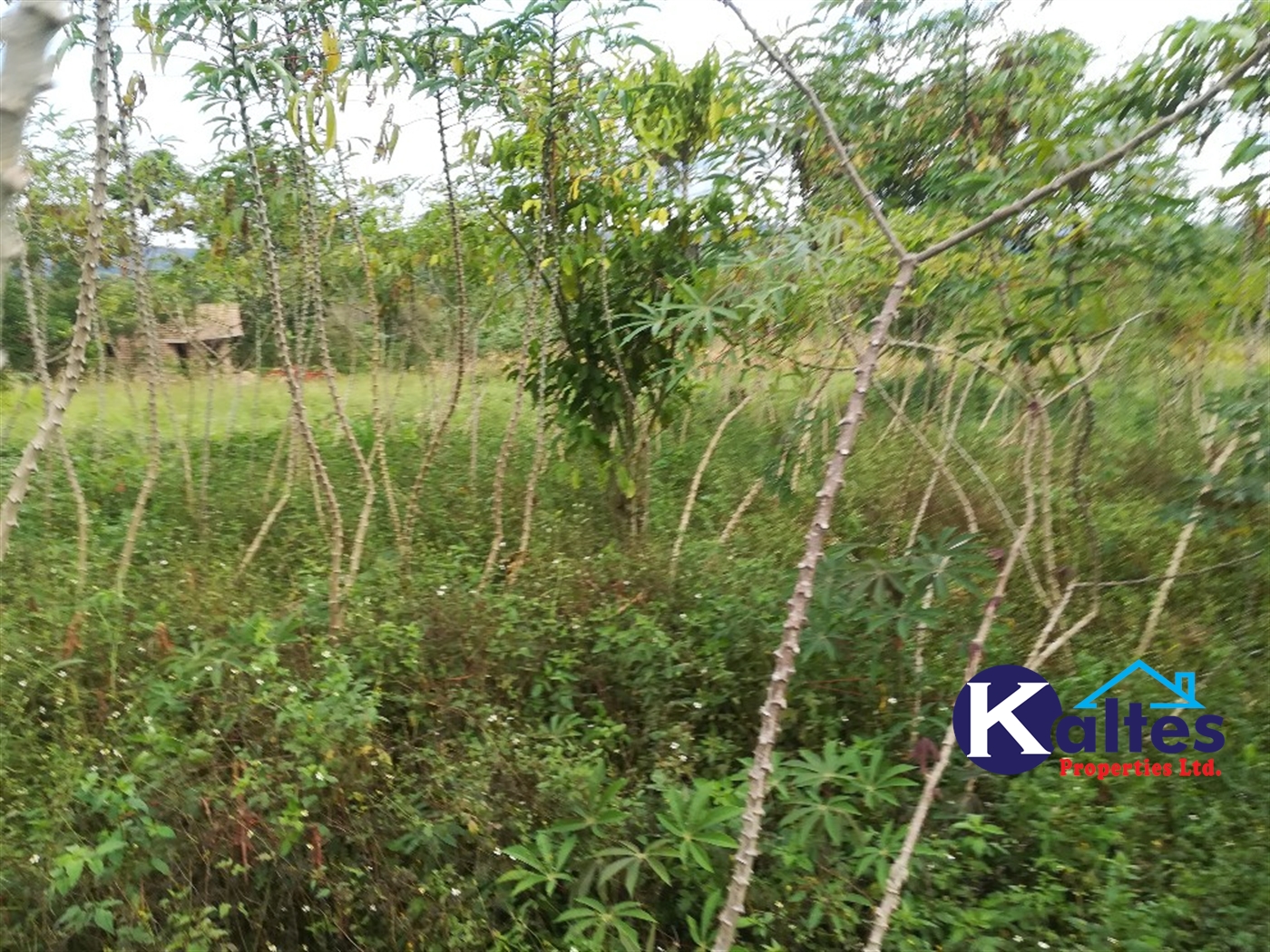 Agricultural Land for sale in Vvumba Buyikwe