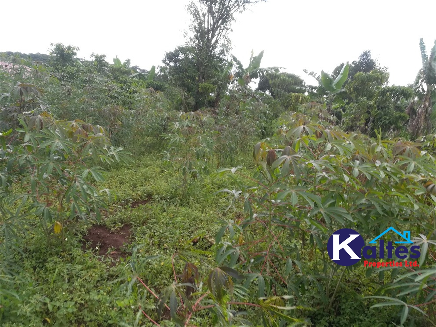 Agricultural Land for sale in Vvumba Buyikwe