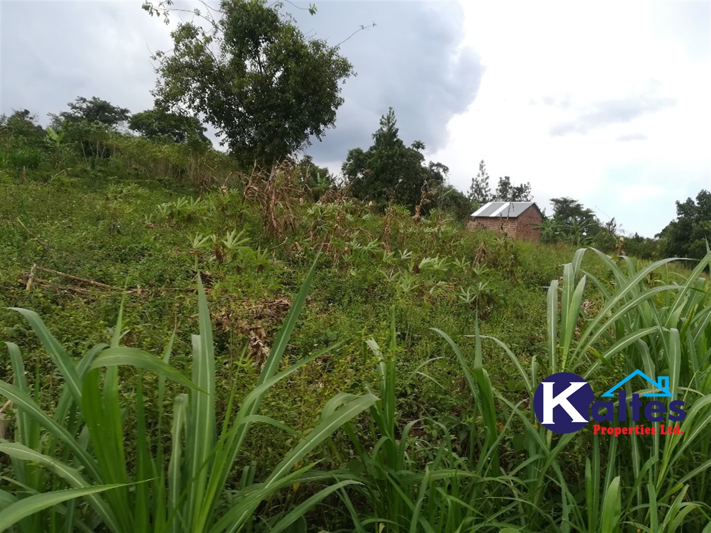 Agricultural Land for sale in Vvumba Buyikwe