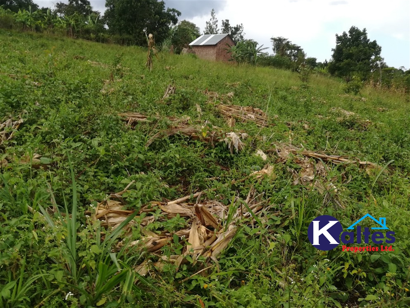 Agricultural Land for sale in Vvumba Buyikwe