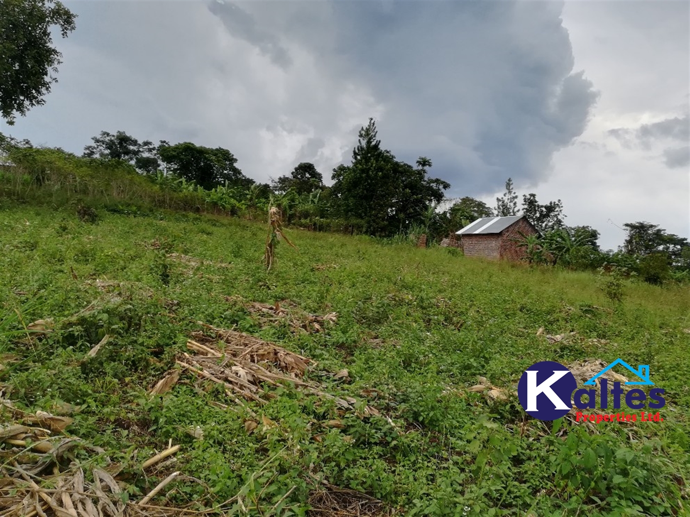 Agricultural Land for sale in Vvumba Buyikwe