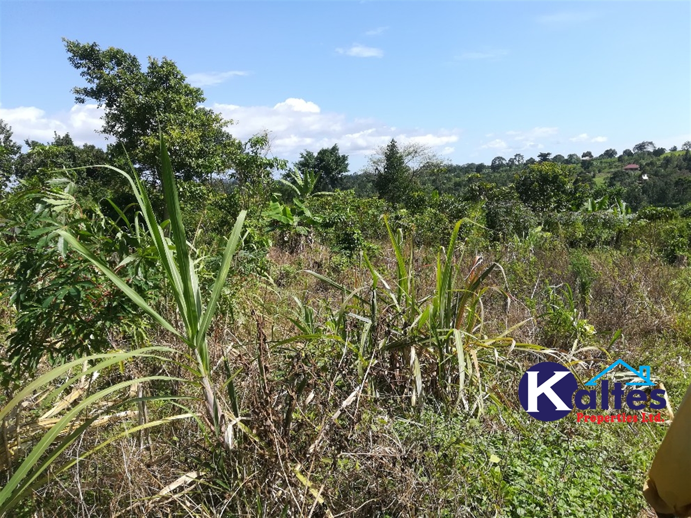 Agricultural Land for sale in Ziba Buyikwe