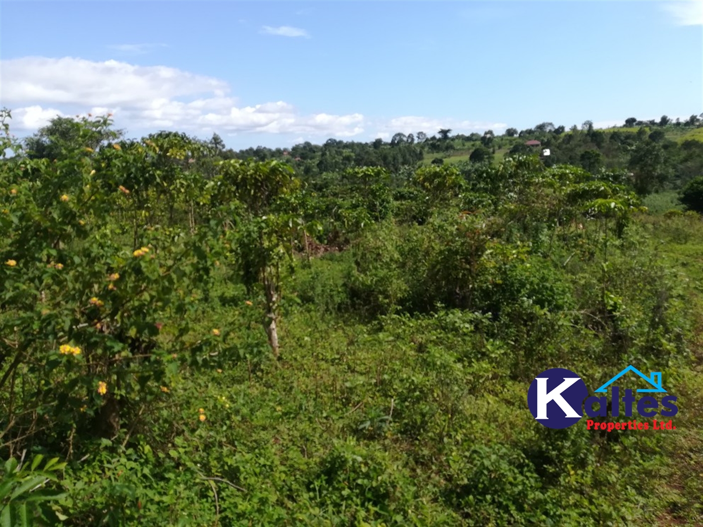 Agricultural Land for sale in Ziba Buyikwe