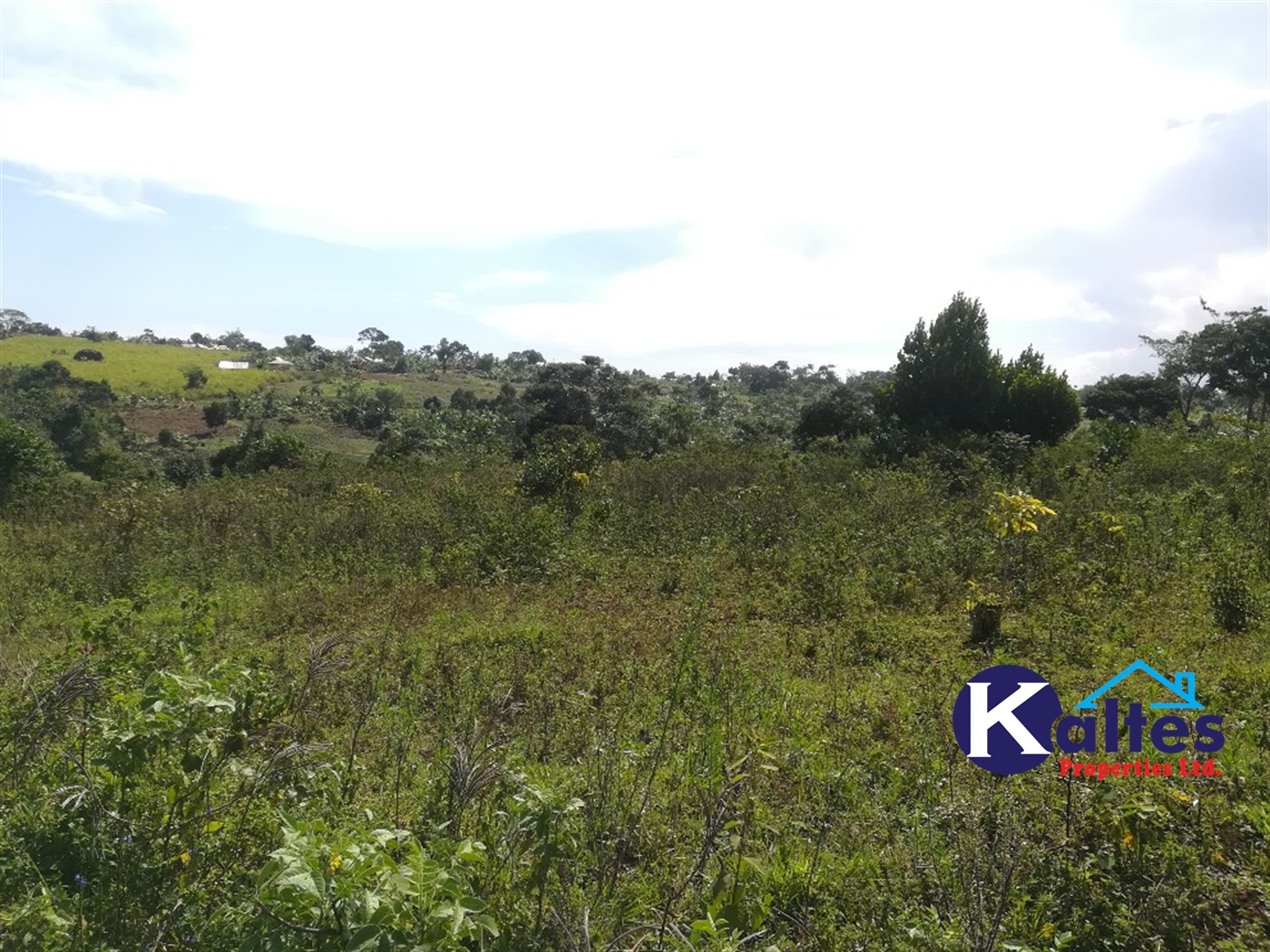 Agricultural Land for sale in Ziba Buyikwe