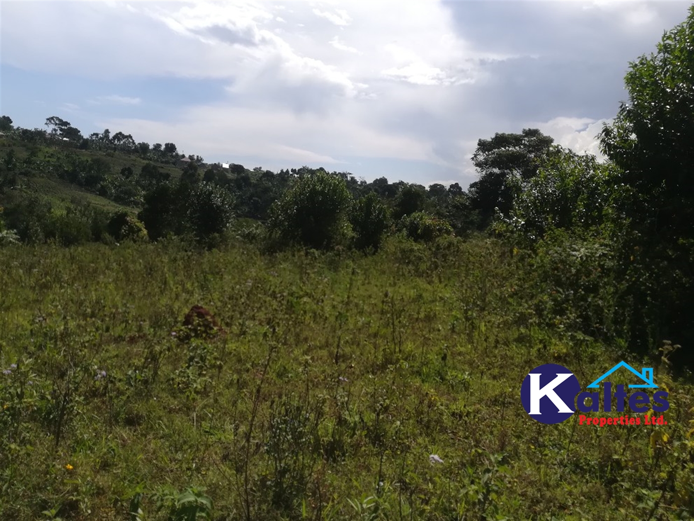 Agricultural Land for sale in Ngogwe Buyikwe