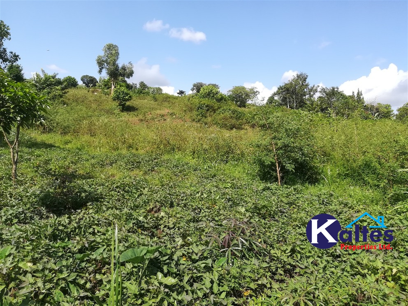 Agricultural Land for sale in Buloba Buyikwe