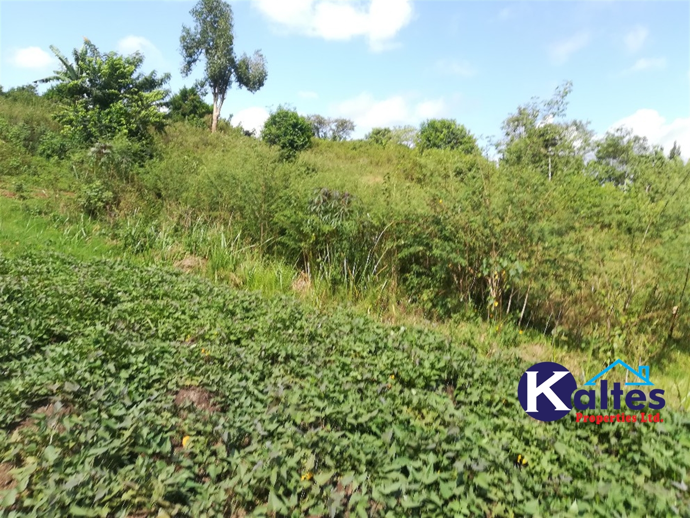 Agricultural Land for sale in Buloba Buyikwe