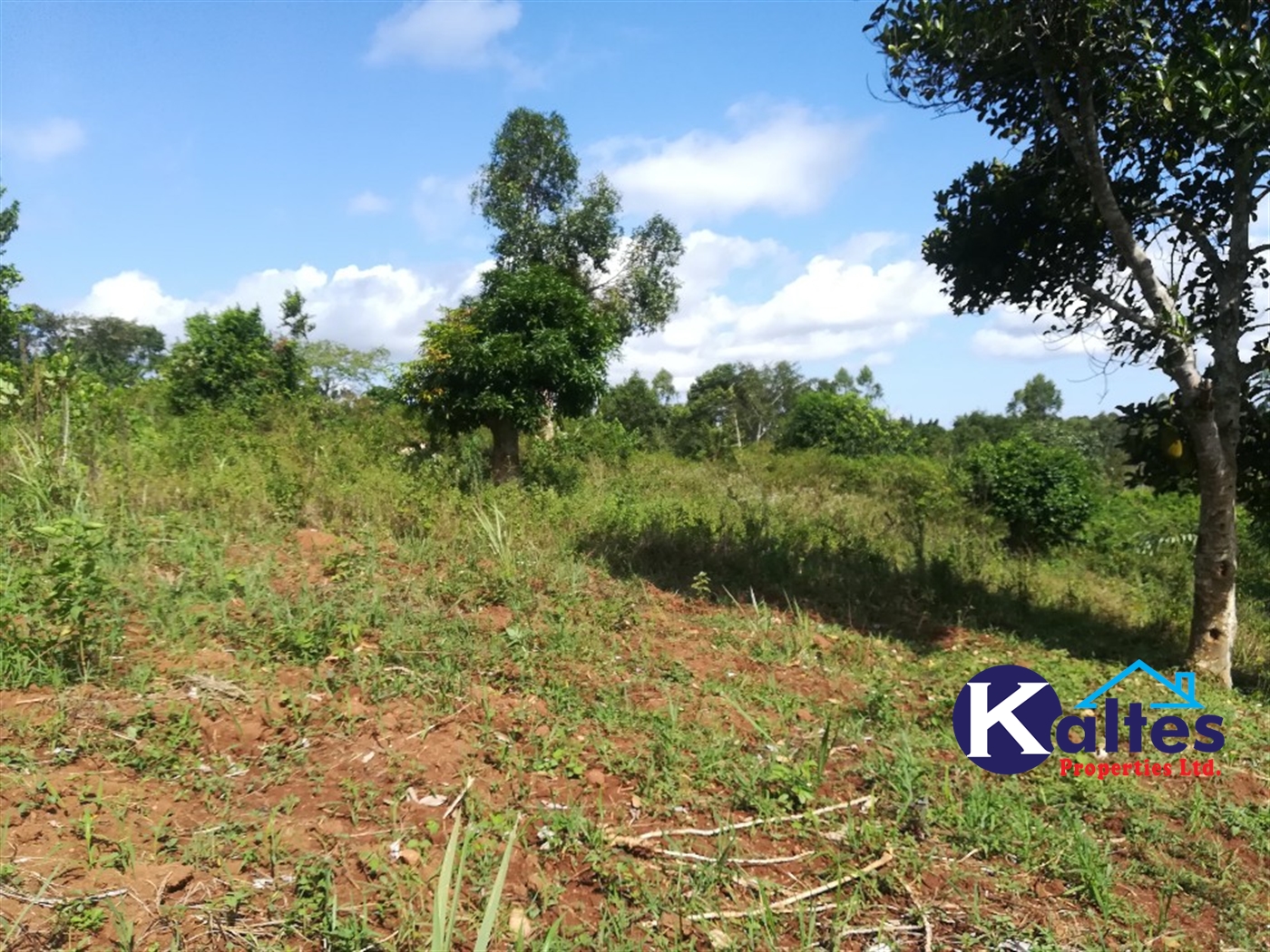Agricultural Land for sale in Buloba Buyikwe