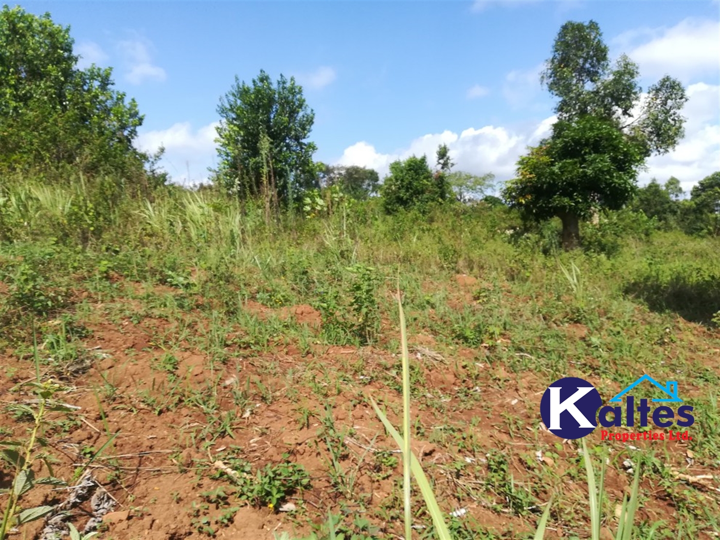 Agricultural Land for sale in Buloba Buyikwe