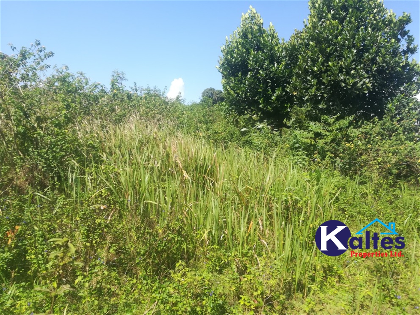 Agricultural Land for sale in Buloba Buyikwe