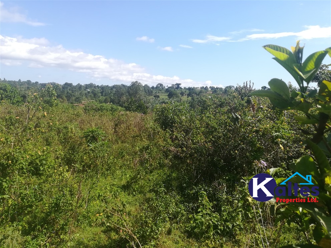 Agricultural Land for sale in Buloba Buyikwe