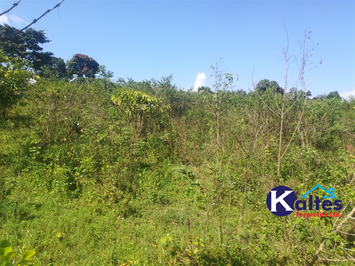 Agricultural Land for sale in Buloba Buyikwe