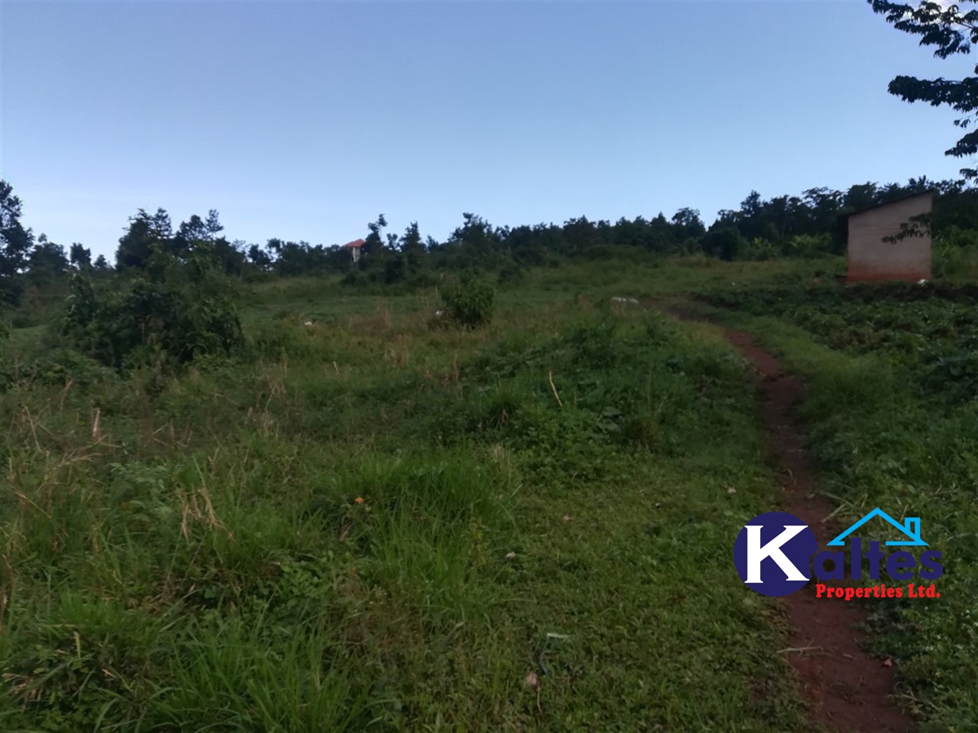 Agricultural Land for sale in Lugala Buyikwe