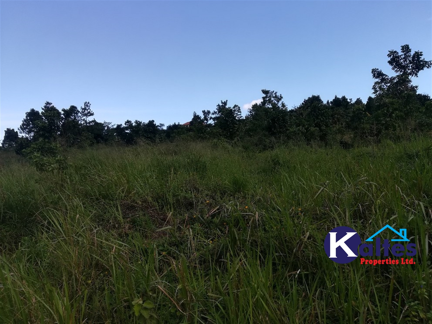 Agricultural Land for sale in Lugala Buyikwe