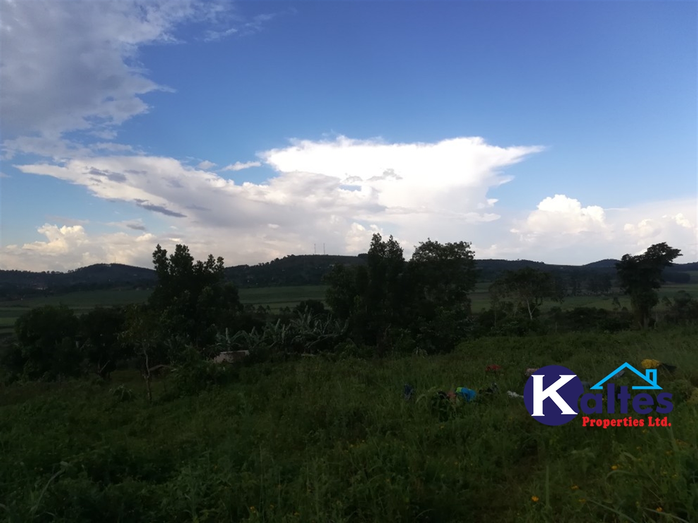 Agricultural Land for sale in Lugala Buyikwe