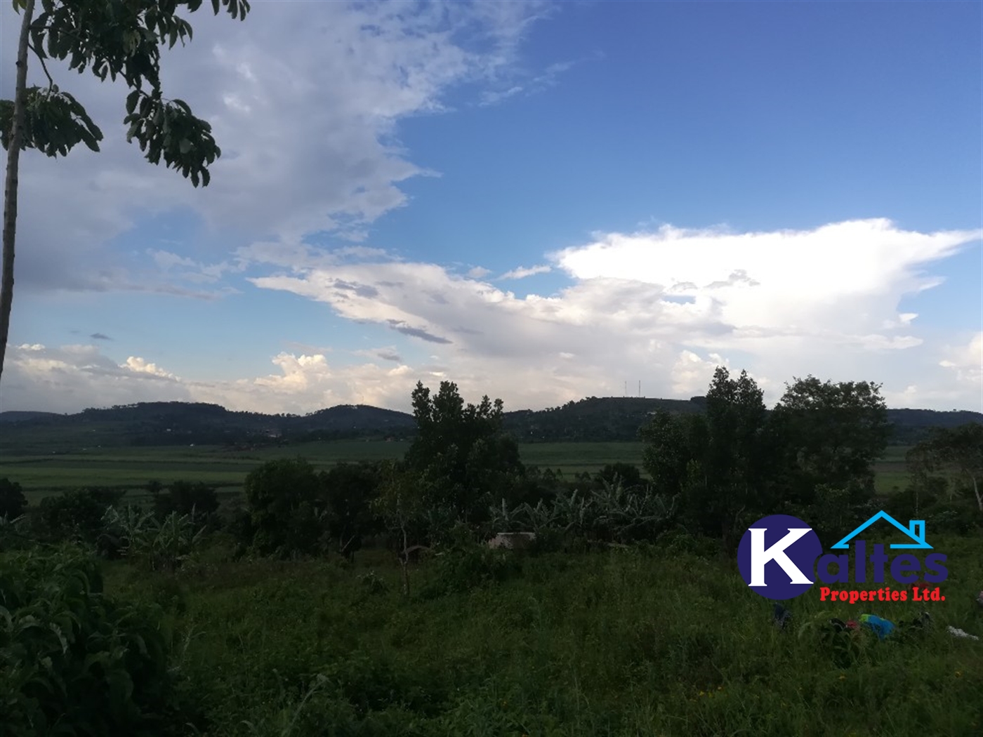 Agricultural Land for sale in Lugala Buyikwe